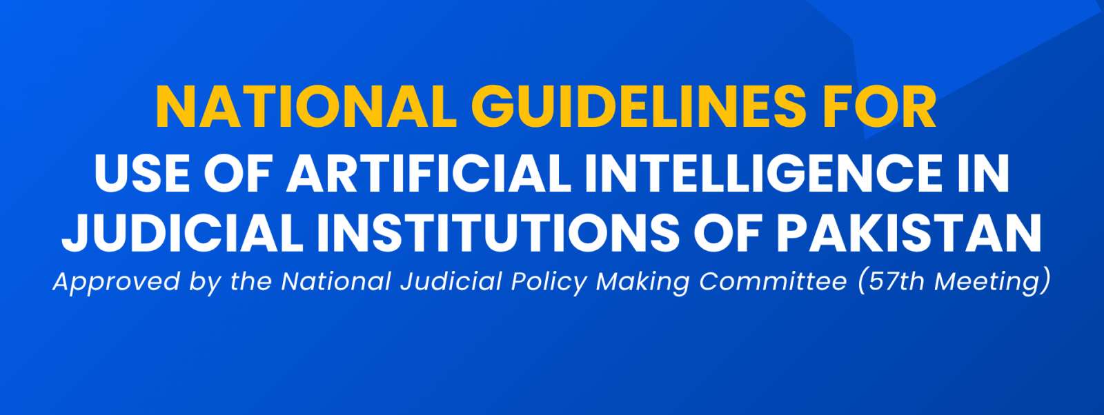 National Guidelines for the Use of Artificial Intelligence in Judicial Institutions